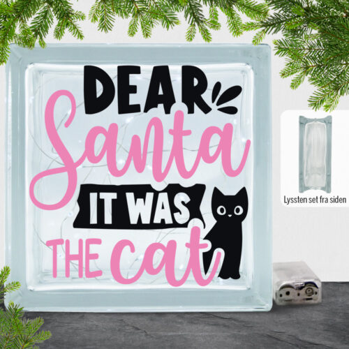 Funny Christmas - Dear santa, it was the cat | Lyssten
