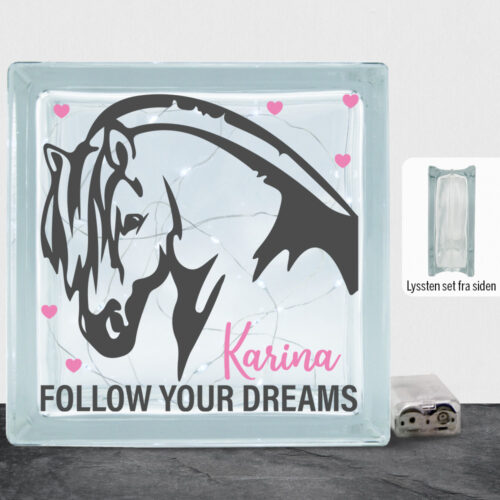 Follow Your Dreams Heste #1 | Lyssten