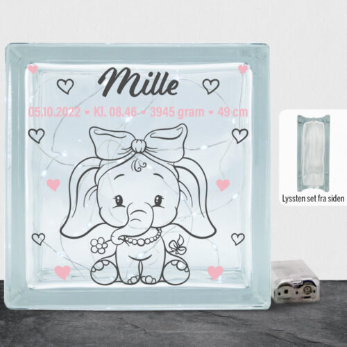 Den lille elefant #1 m. fødselsdata | Lyssten