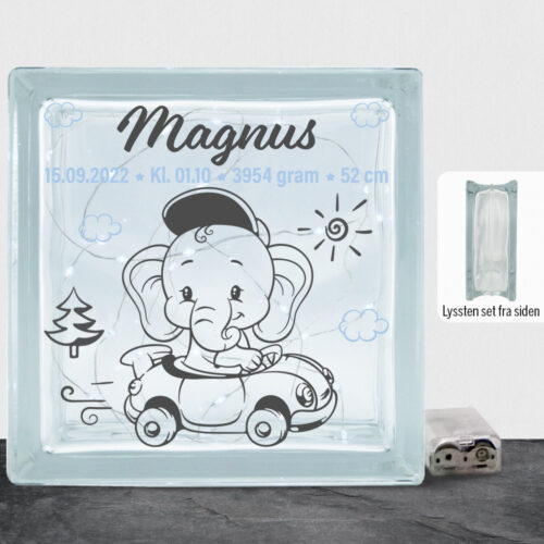 Den lille elefant #2 m. fødselsdata | Lyssten