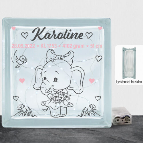 Den lille elefant #4 m. fødselsdata | Lyssten