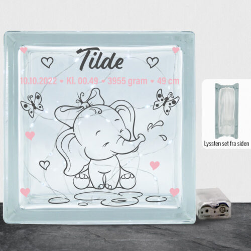 Den lille elefant #11 m. fødselsdata | Lyssten