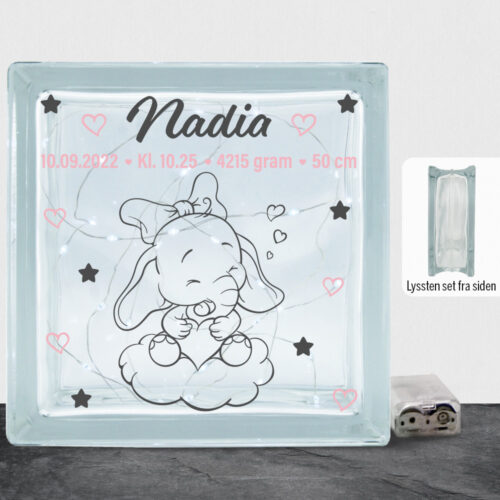Den lille elefant #12 m. fødselsdata | Lyssten