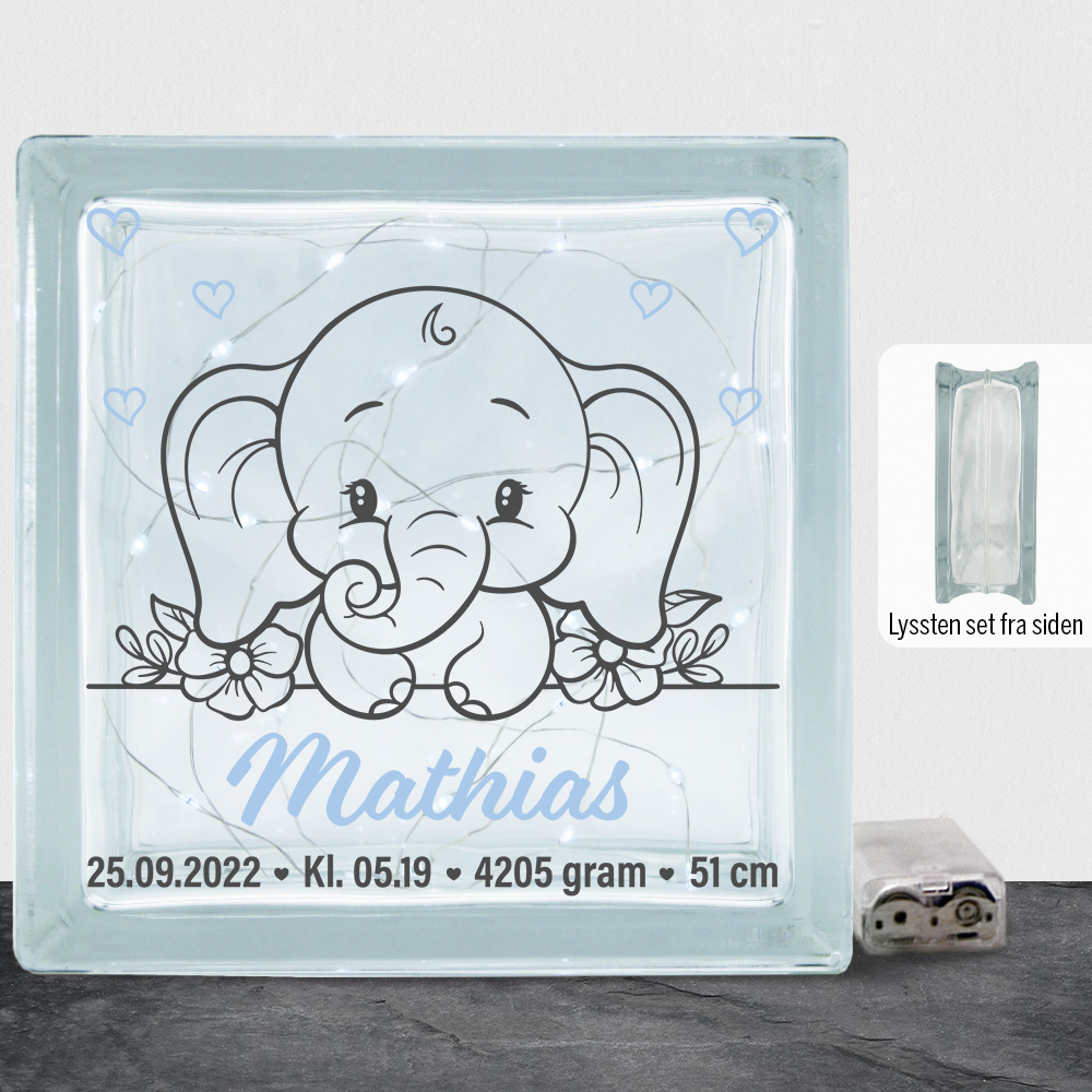 Den lille elefant #13 m. fødselsdata | Lyssten