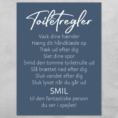 Toiletregler #1... full color  | Plakat