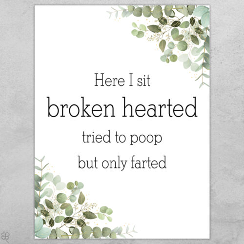 Toilet quotes - Here I sit broken hearted... | Plakat