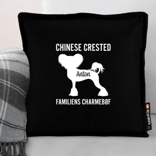 Alternative view of MyPets Chinese Crested | Pyntepude i filt