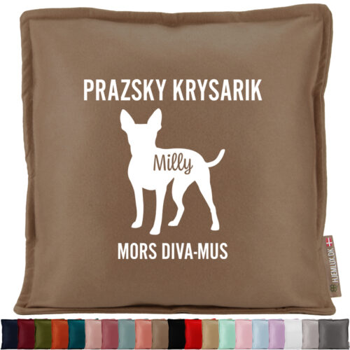 MyPets Prazsky Krysarik | Pyntepude i filt