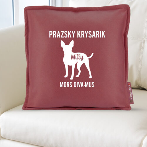 Alternative view of MyPets Prazsky Krysarik | Pyntepude i filt