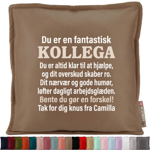 Du er en fantastisk kollega... med navne | Pyntepude i filt