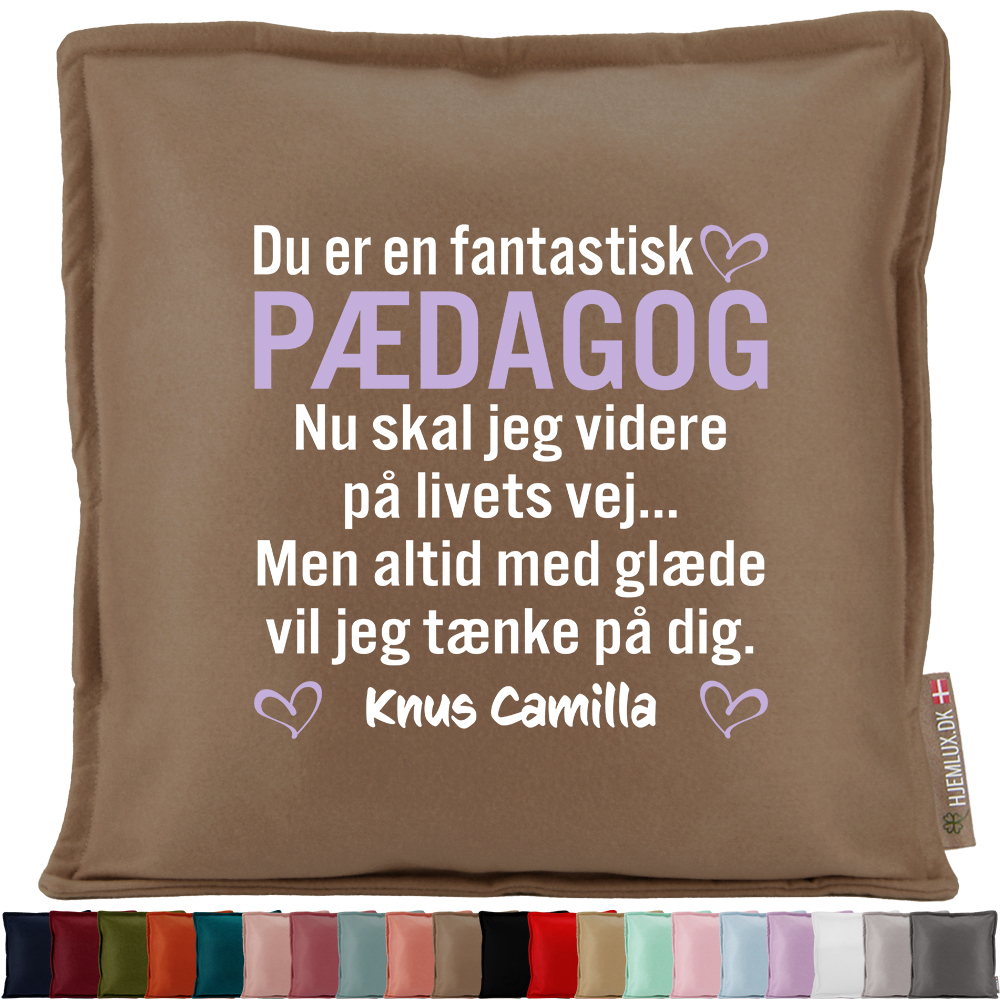 Du er en fantastisk pædagog... | Pyntepude i filt