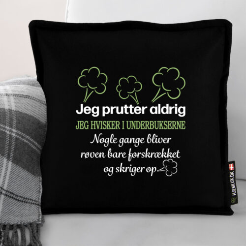 Alternative view of Jeg prutter aldrig... | Pyntepude i filt