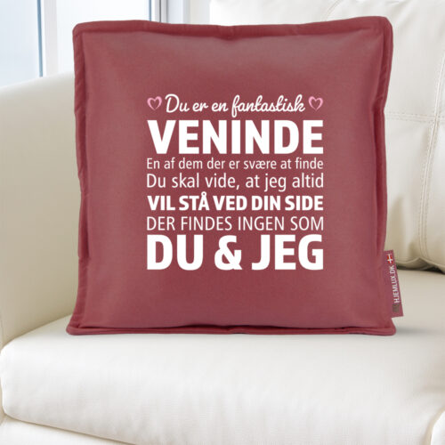 Alternative view of Du er en fantastisk veninde... | Pyntepude i filt