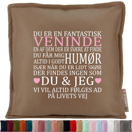 Du er en fantastisk veninde... #3 | Pyntepude i filt