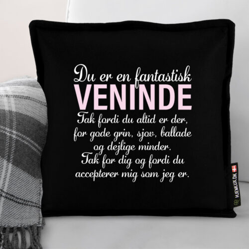 Alternative view of Du er en fantastisk veninde… #4 | Pyntepude i filt