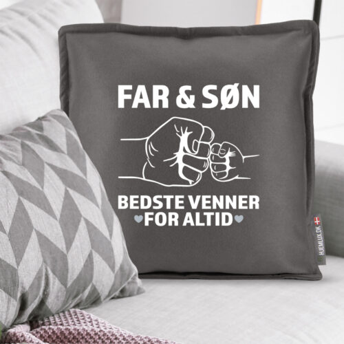 Alternative view of Bedste venner for altid – far/søn | Pyntepude i filt