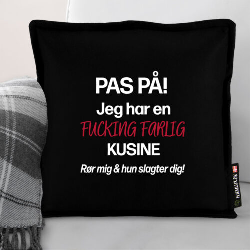 Alternative view of Pas på, jeg har en fucking farlig kusine | Pyntepude i filt