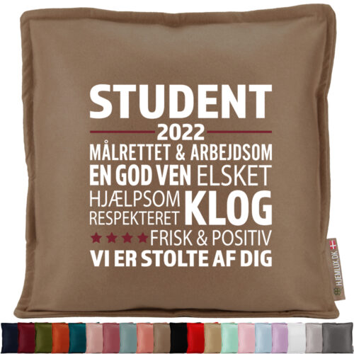 Student - Målrettet & arbejdsom... | Pyntepude i filt