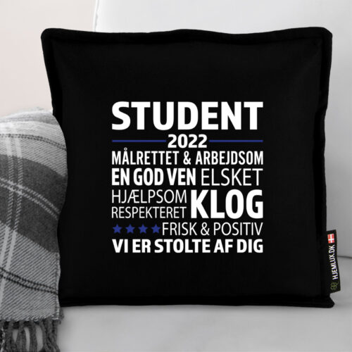 Alternative view of Student - Målrettet & arbejdsom... | Pyntepude i filt