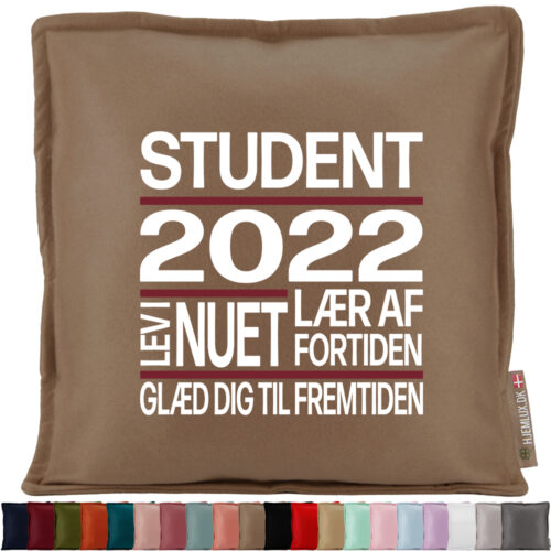 Student - Lev i nuet... | Pyntepude i filt