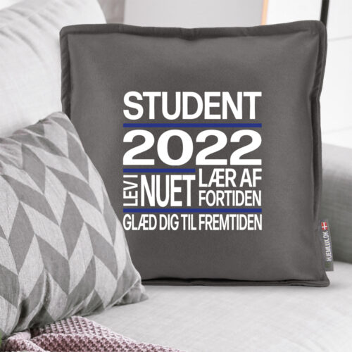 Alternative view of Student - Lev i nuet... | Pyntepude i filt