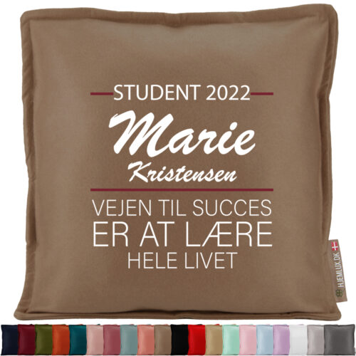 Student - Vejen til succes... | Pyntepude i filt