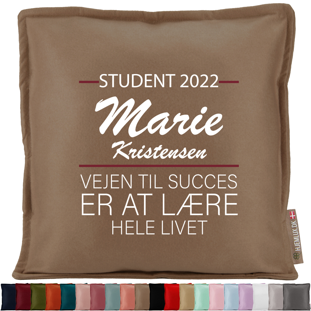 Student - Vejen til succes... | Pyntepude i filt