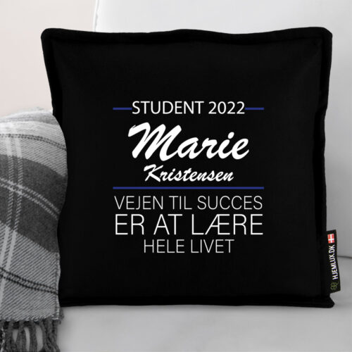 Alternative view of Student - Vejen til succes... | Pyntepude i filt