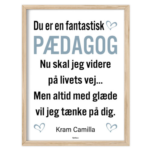 Du er en fantastisk pædagog | Plakat