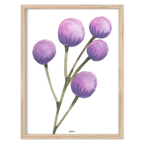 Wildflower – Lavender Berries | Plakat
