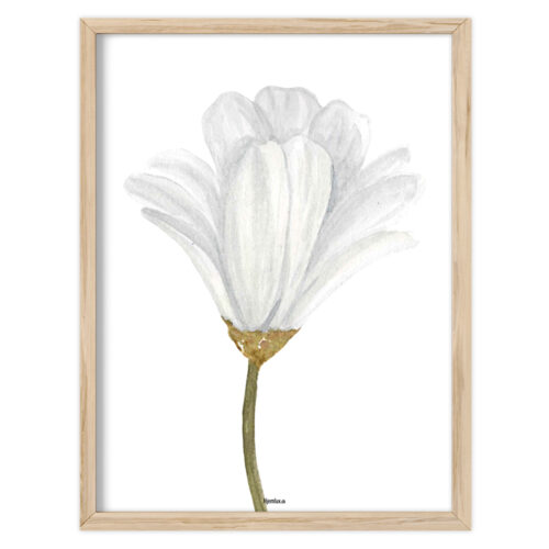 Wildflower – Pure Bloom | Plakat