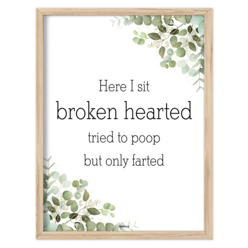 Toilet quotes – Here I sit broken hearted… | Plakat