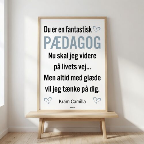 Alternative view of Du er en fantastisk pædagog | Plakat